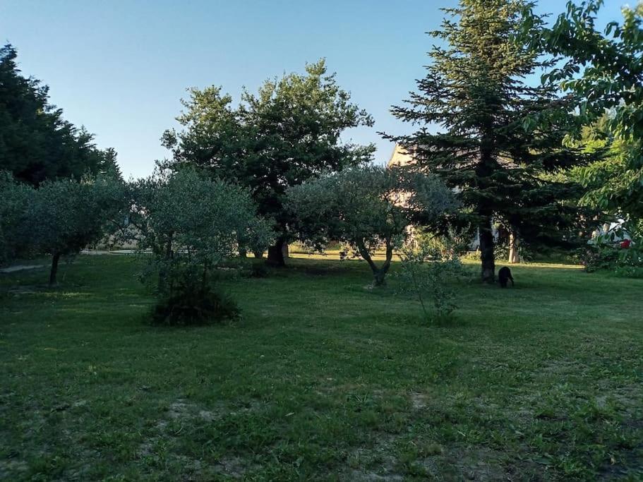 Villa Avec Piscine Dans Un Avre De Verdure Caderousse Luaran gambar